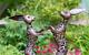 Boxing Hares Beautifully Handcrafted Filigree Bronze Coloured Metalwork