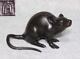 Statue De Souris En Bronze 5,9 Pouces De Largeur Figurine Japonaise En Métal Okimono